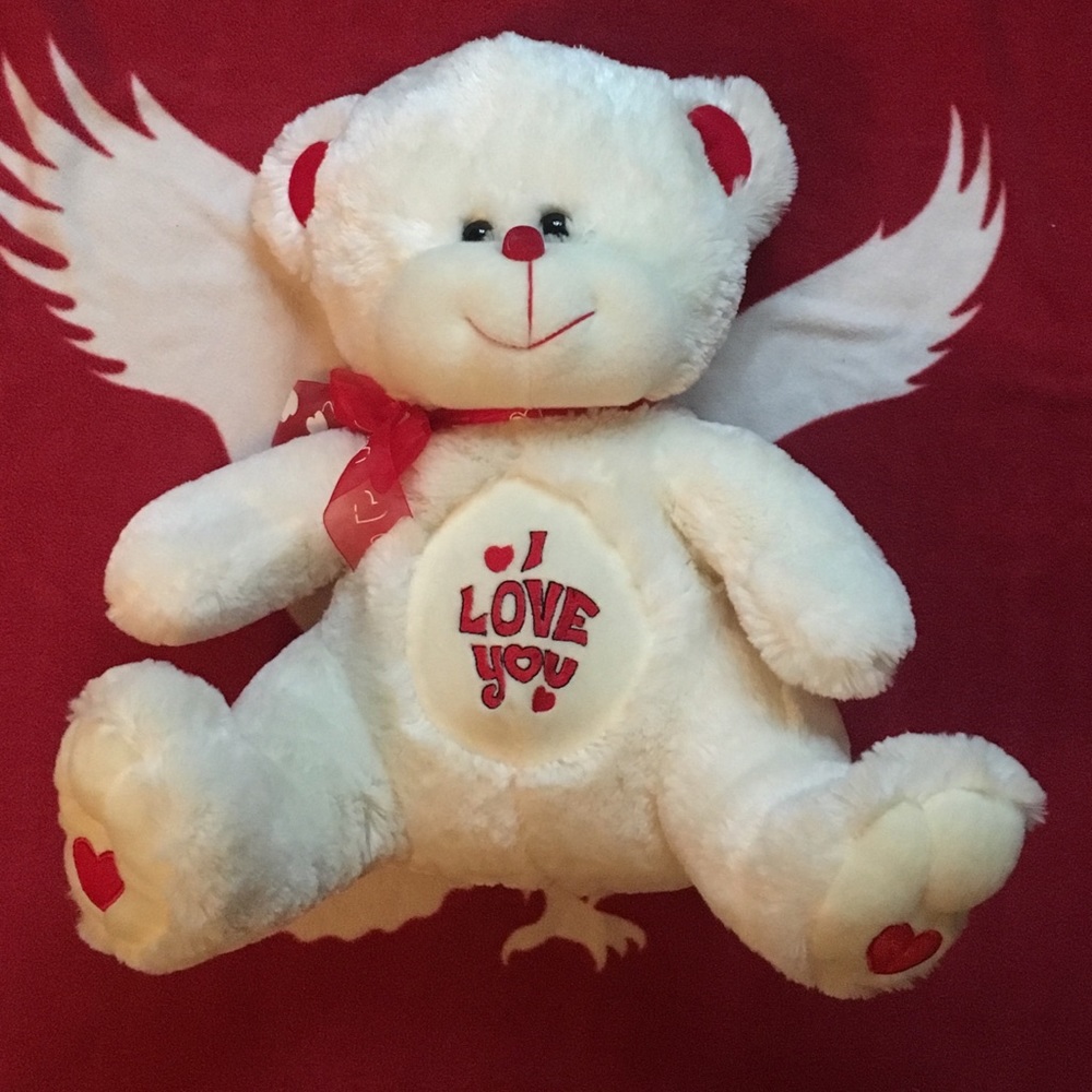 Valentines Day Teddybear